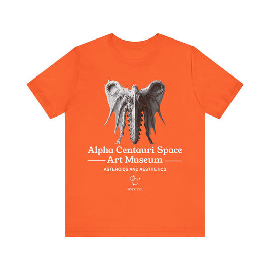 Asteroids And Aesthetics t-shirt
