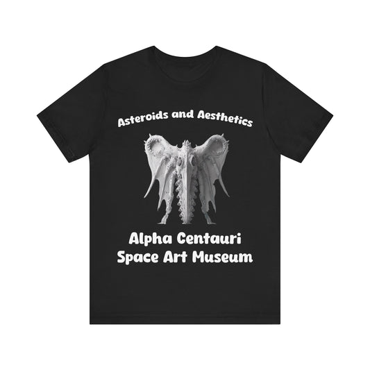 Asteroids And Aesthetics t-shirt